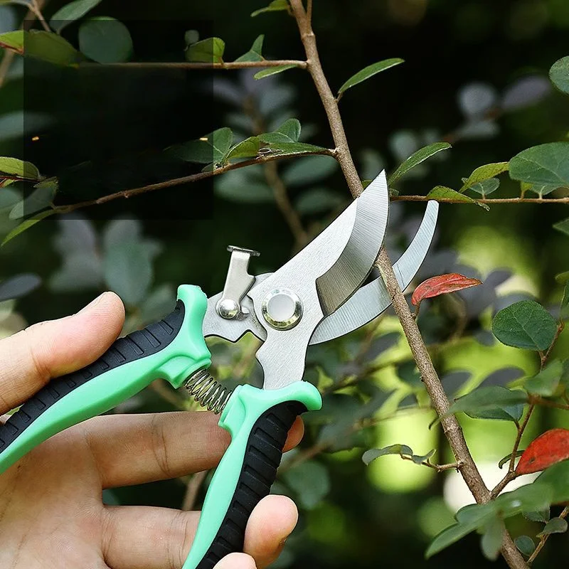 Professionelle Bonsai-Gartensc – Agriculture Farming Professional Bewertung und Preis