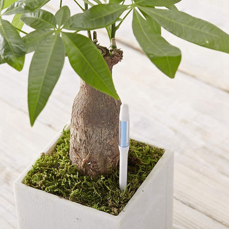Aquameter, 5 Stück, Pflanzenbo – Soil Moisture Sensor Bewertung und Preis