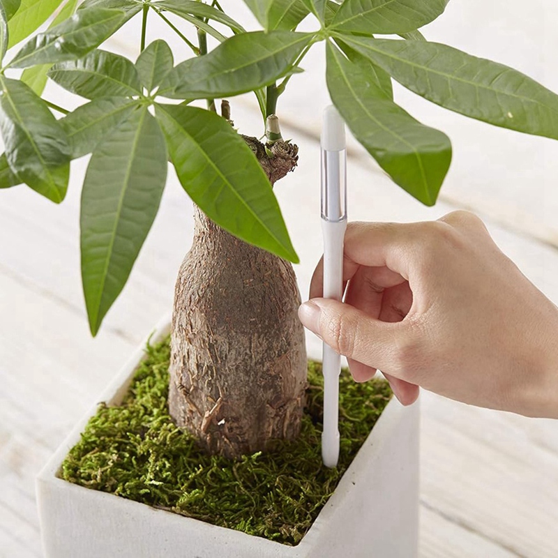 Aquameter, 5 Stück, Pflanzenbo – Soil Moisture Sensor Bewertung und Preis
