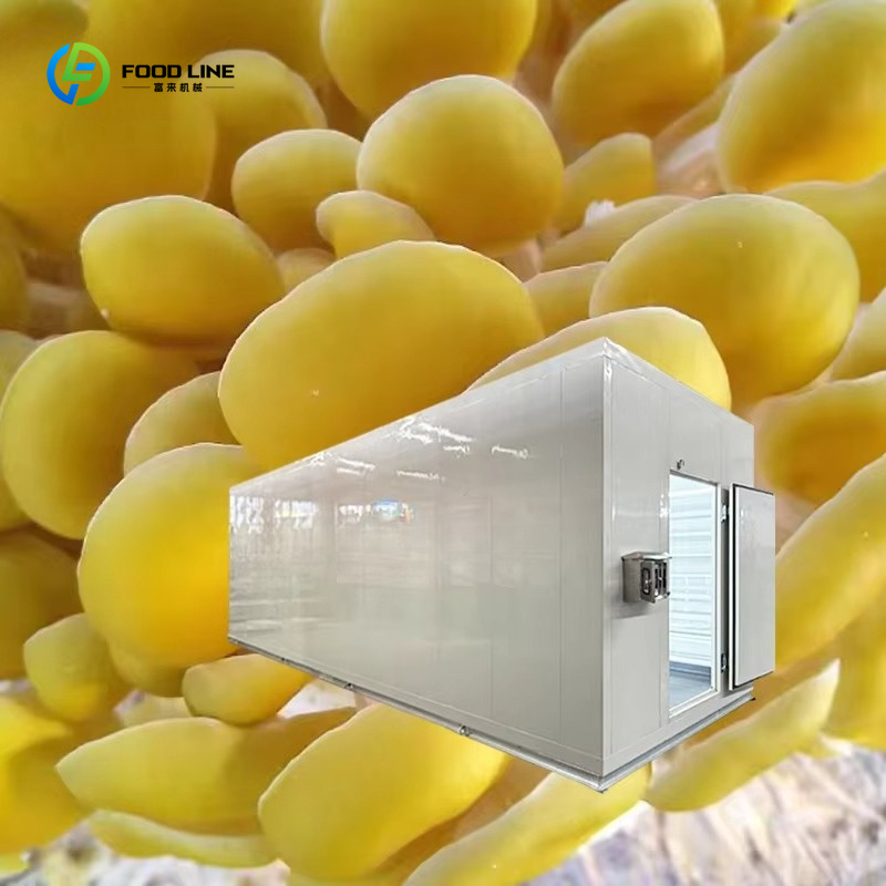 Intelligentes Pilzzucht-Kapsel – Smart Farming Technology In Agriculture Bewertung und Preis
