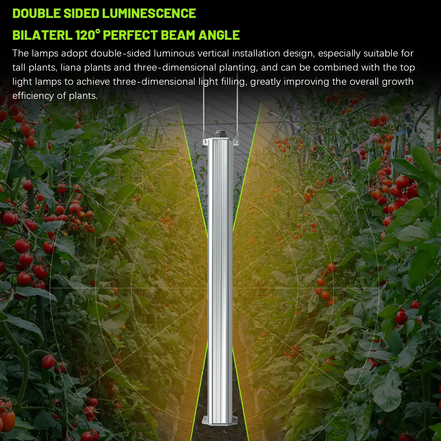 Beste ETL-zertifizierte Pflanz – Agriculture Tomato Farming Bewertung und Preis