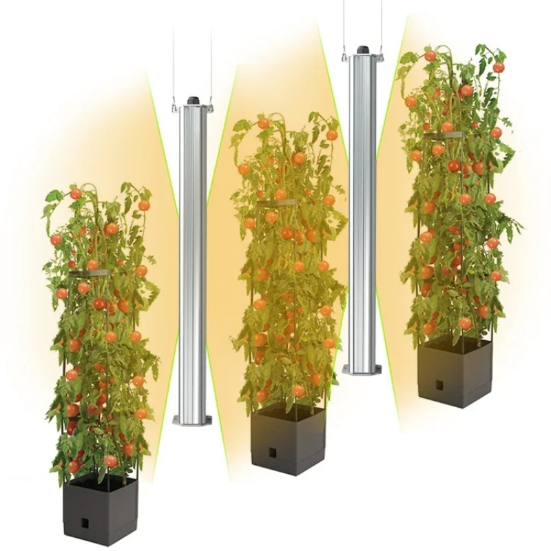 Beste ETL-zertifizierte Pflanz – Agriculture Tomato Farming Bewertung und Preis