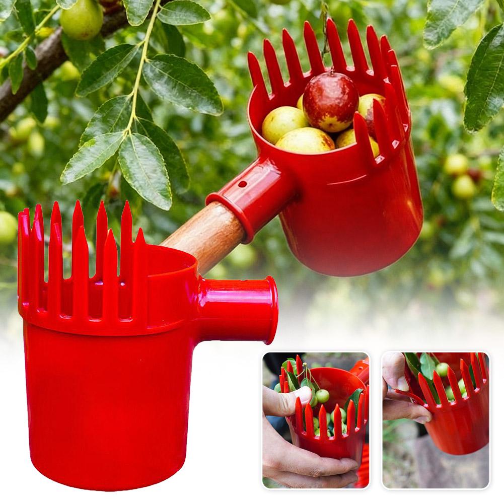 1 Stück Kleiner Obstpicker Tra – Agriculture Tomato Farming Bewertung und Preis