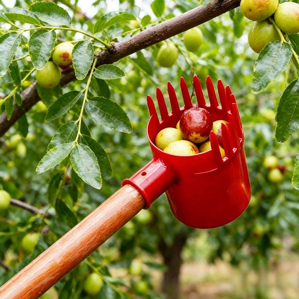 1 Stück Kleiner Obstpicker Tra – Agriculture Tomato Farming Bewertung und Preis